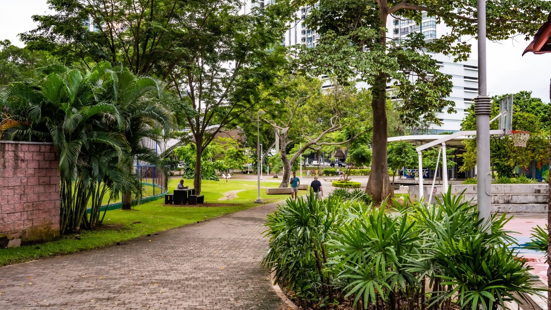 1_Park