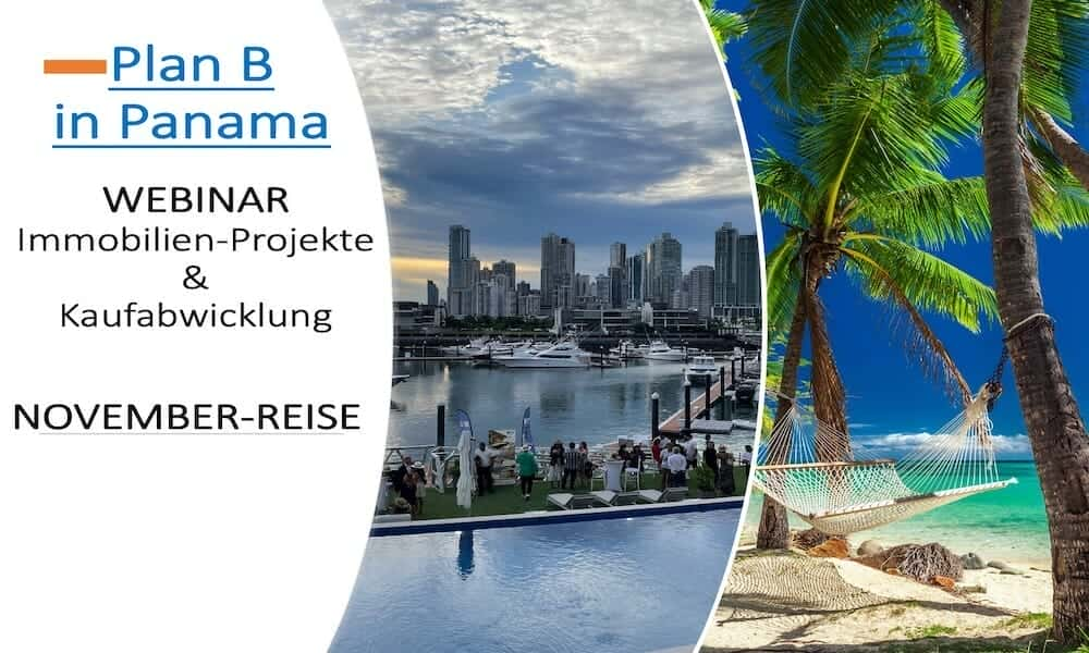 Webinar & November-Reise